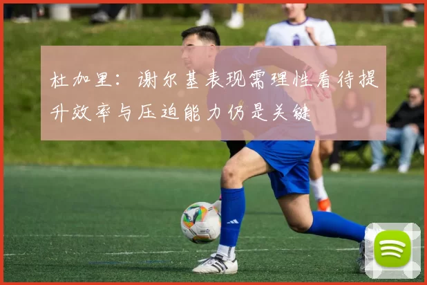 杜加里：谢尔基表现需理性看待提升效率与压迫能力仍是关键
